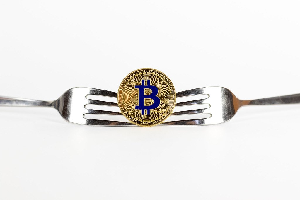 Bitcoin forks: what are they and why do we need them?