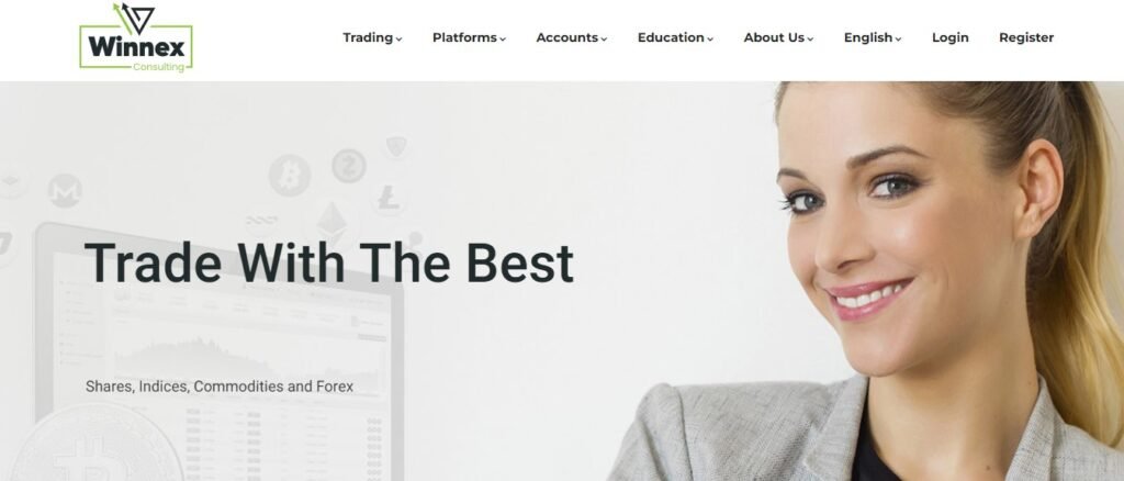 Winnex Consulting website